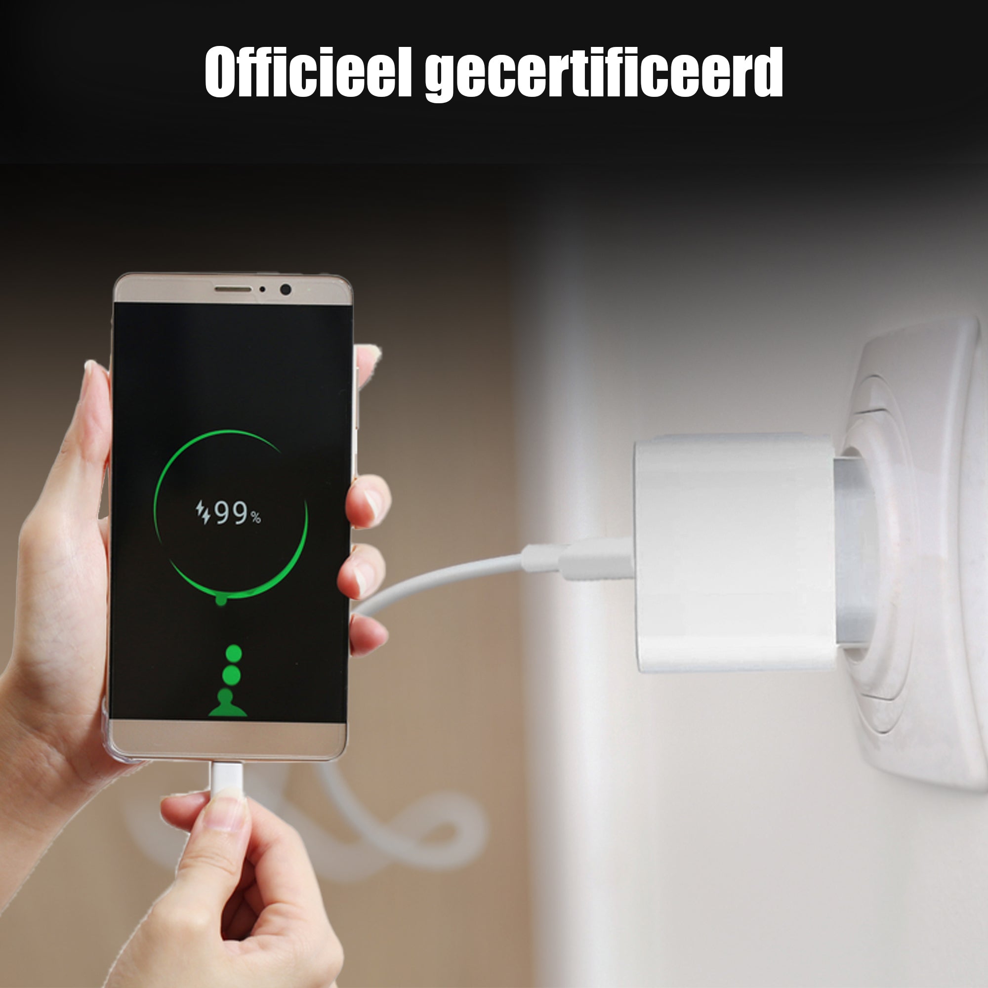 Golden Sound 35W Lightning Ladegerät passend für iPhone